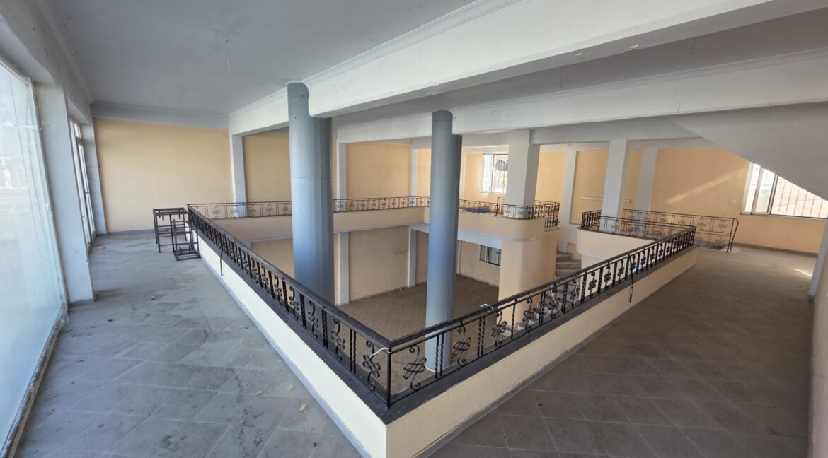 εικόνα_Viber_2026-02-17_12-08-16-811