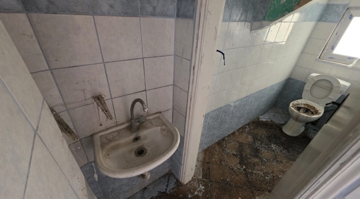 εικόνα_Viber_2026-02-17_12-08-16-829