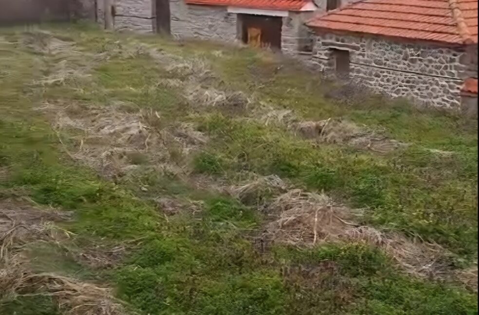 εικόνα_Viber_2025-05-03_11-08-23-633