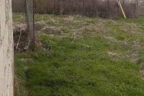 εικόνα_Viber_2025-05-03_11-08-23-645