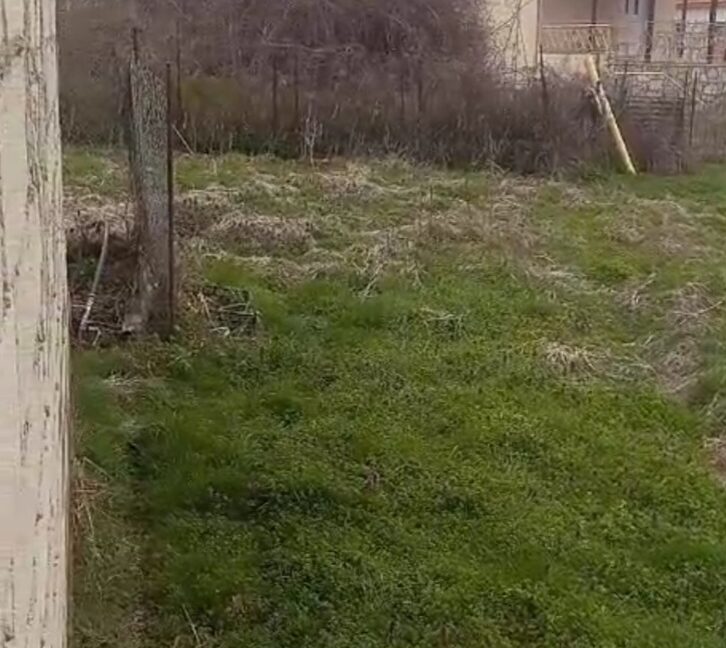 εικόνα_Viber_2025-05-03_11-08-23-645