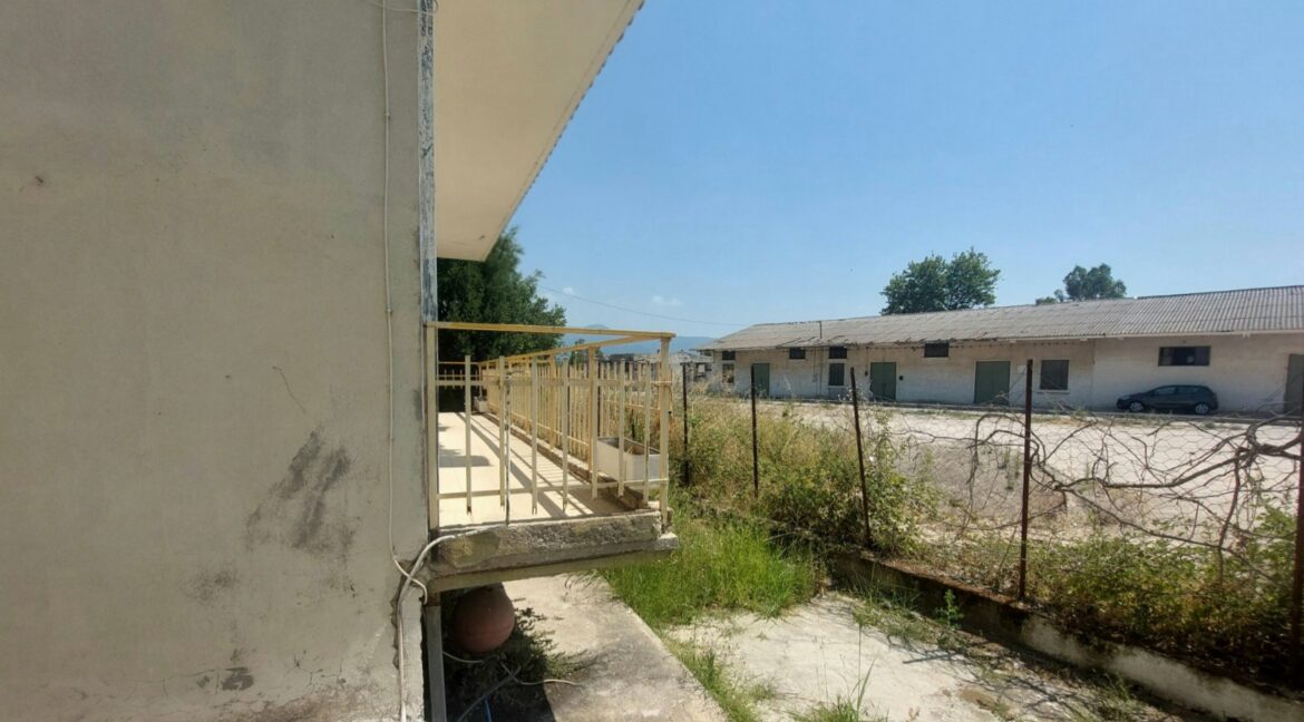 εικόνα_Viber_2025-07-18_15-54-31-532