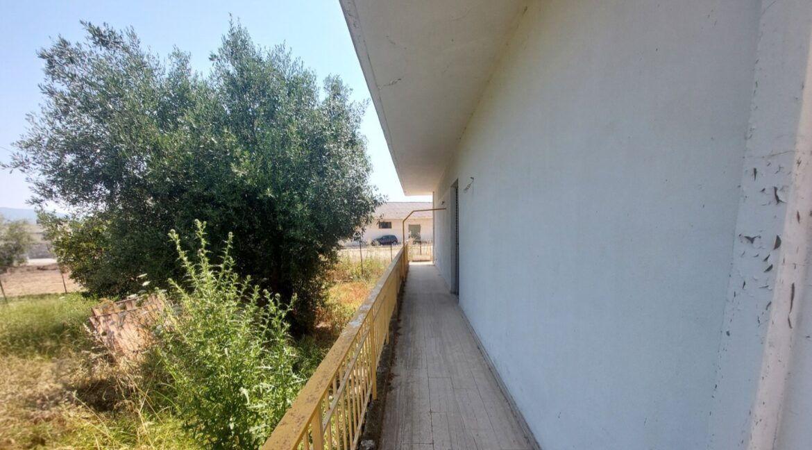 εικόνα_Viber_2025-07-18_15-54-31-595