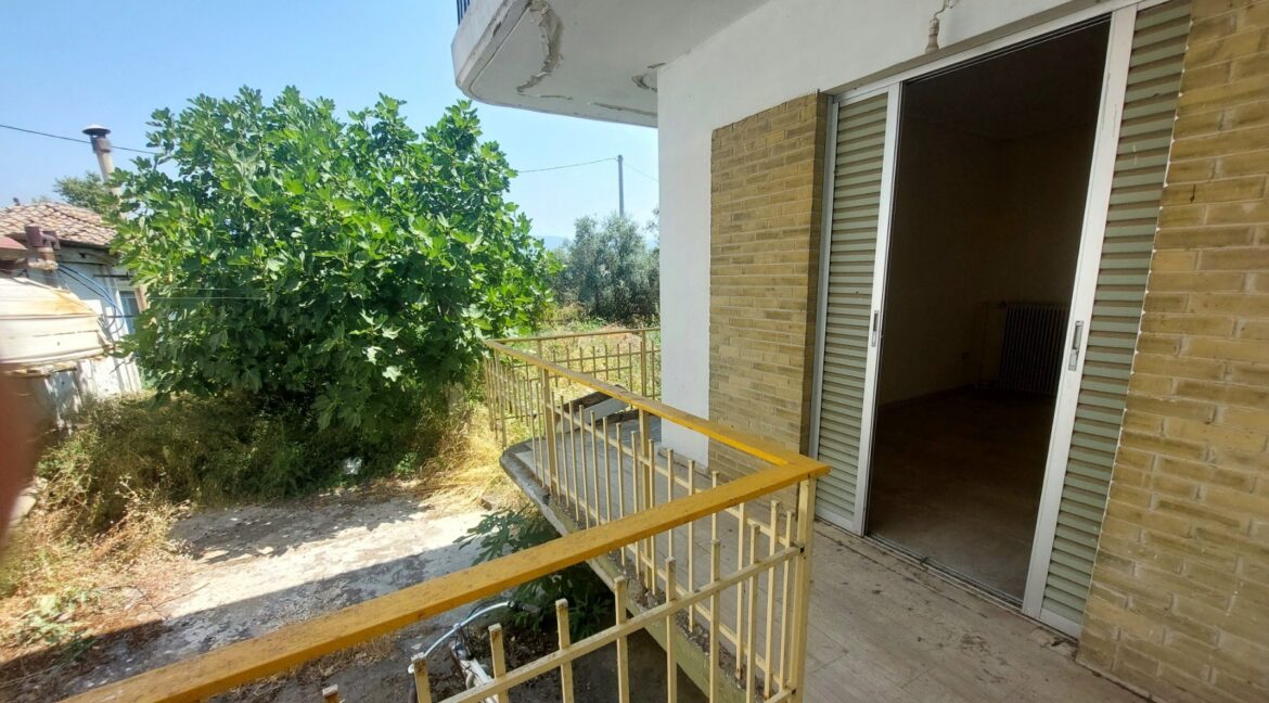 εικόνα_Viber_2025-07-18_15-54-31-629