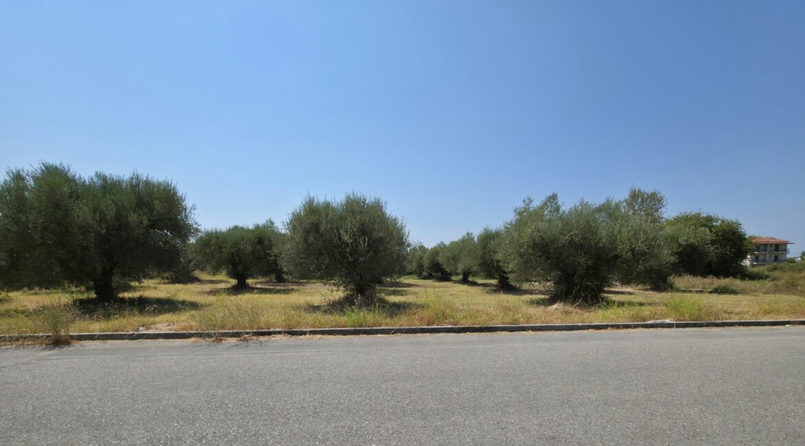 εικόνα_Viber_2025-08-23_12-47-25-865