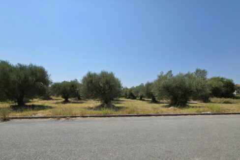 εικόνα_Viber_2025-08-23_12-47-25-865