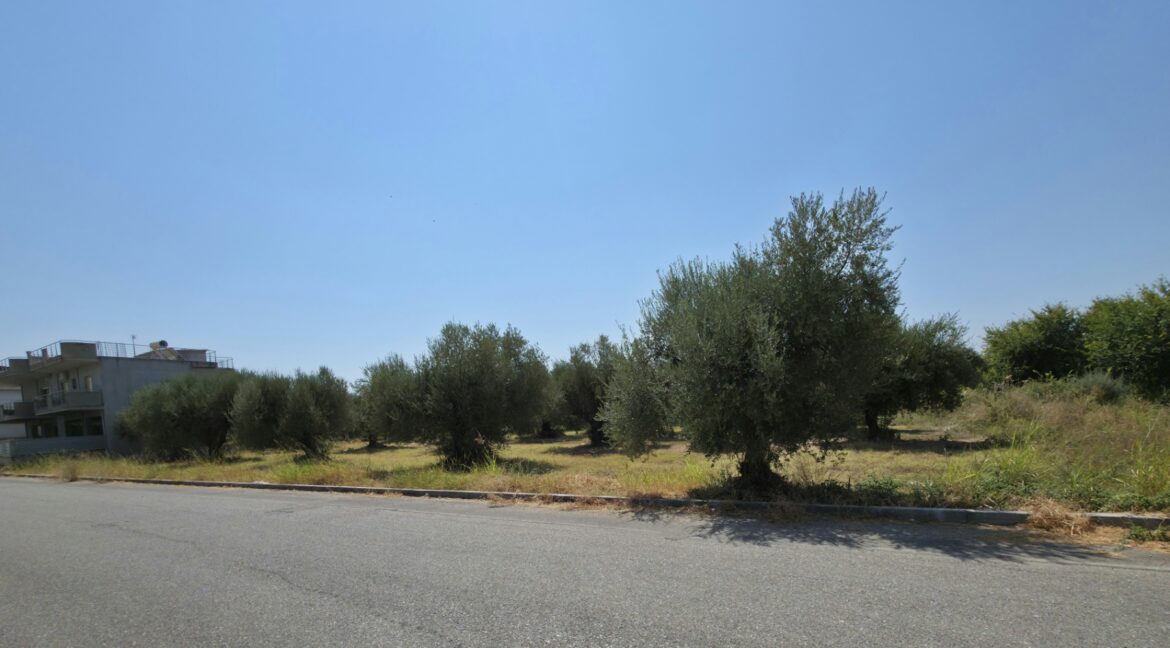 εικόνα_Viber_2025-08-23_12-47-25-883