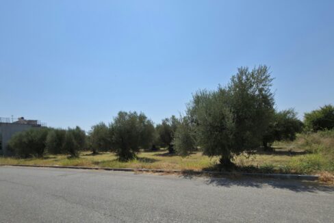 εικόνα_Viber_2025-08-23_12-47-25-883