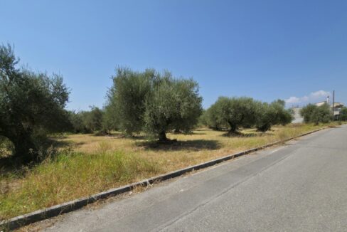 εικόνα_Viber_2025-08-23_12-47-25-928