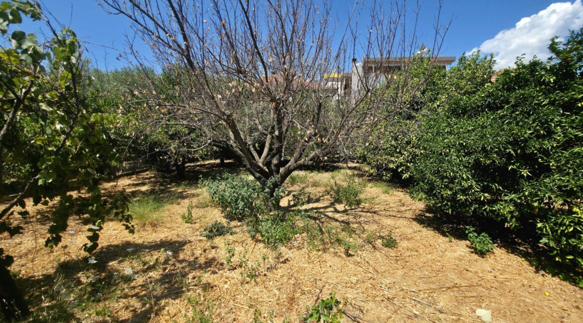 εικόνα_Viber_2025-08-26_13-13-07-958