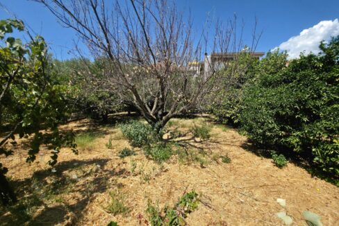 εικόνα_Viber_2025-08-26_13-13-07-958