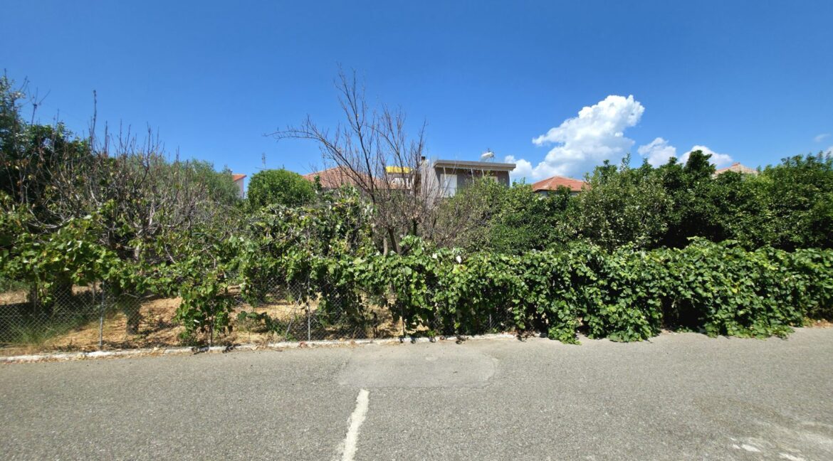 εικόνα_Viber_2025-08-26_13-13-08-237