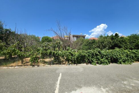 εικόνα_Viber_2025-08-26_13-13-08-237