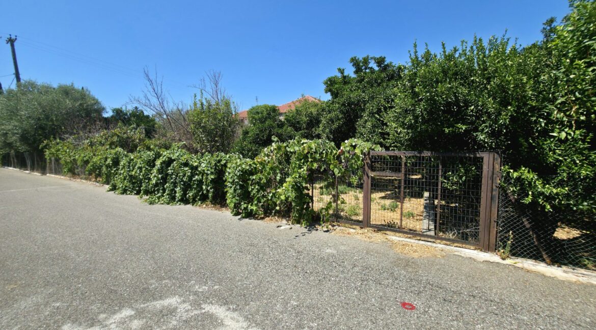 εικόνα_Viber_2025-08-26_13-13-08-551