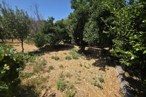 εικόνα_Viber_2025-08-26_13-13-08-558