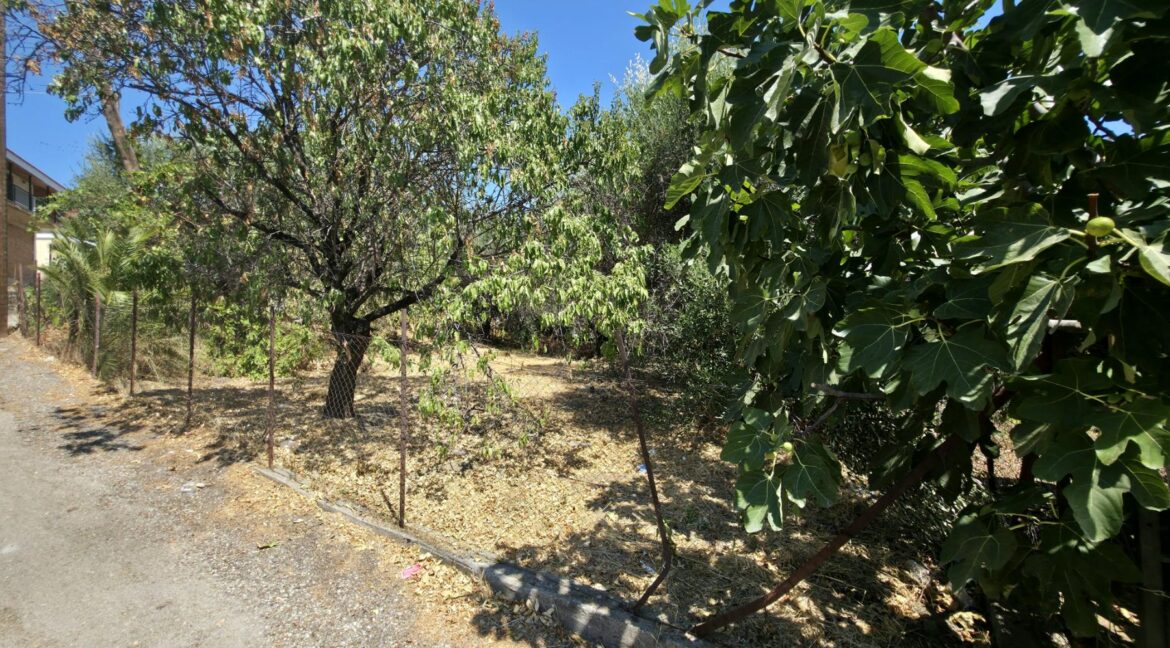 εικόνα_Viber_2025-08-26_13-13-55-049