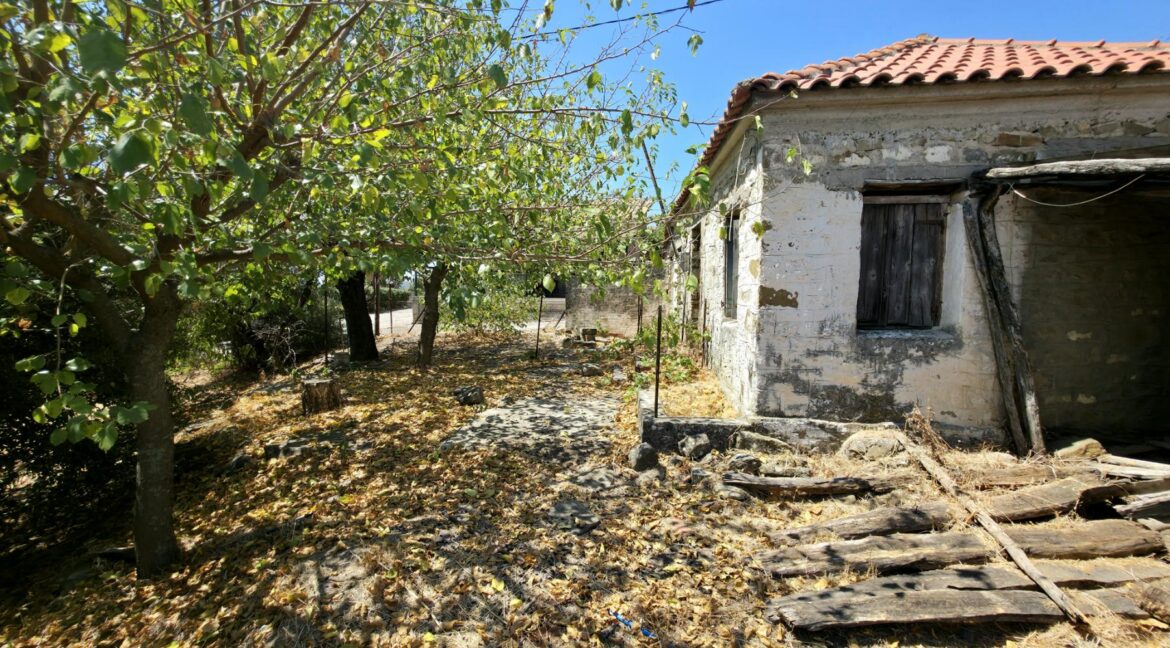 εικόνα_Viber_2025-08-26_13-13-55-064