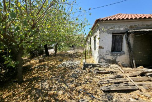 εικόνα_Viber_2025-08-26_13-13-55-064