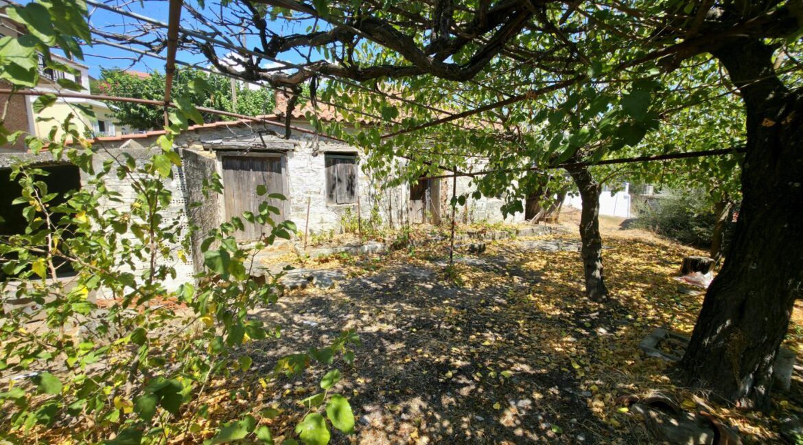 εικόνα_Viber_2025-08-26_13-13-55-092