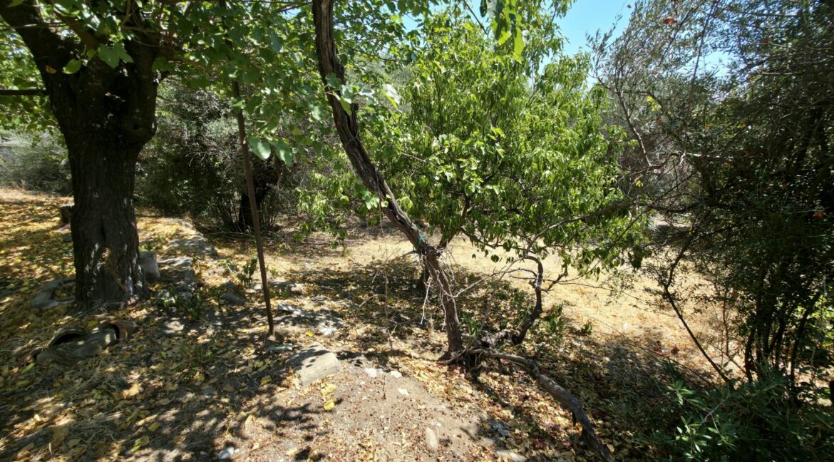 εικόνα_Viber_2025-08-26_13-13-55-107