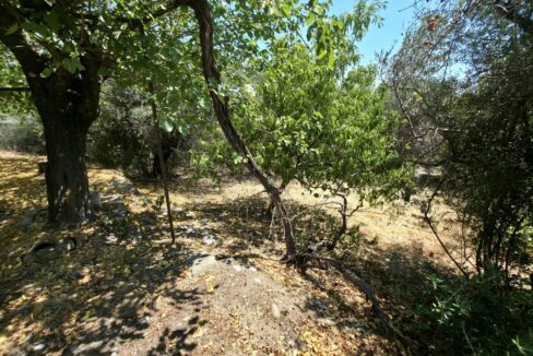 εικόνα_Viber_2025-08-26_13-13-55-107
