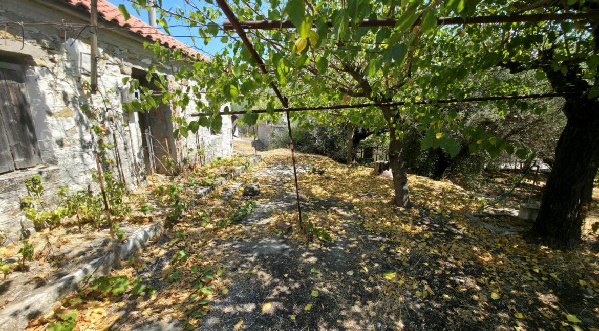 εικόνα_Viber_2025-08-26_13-13-55-124