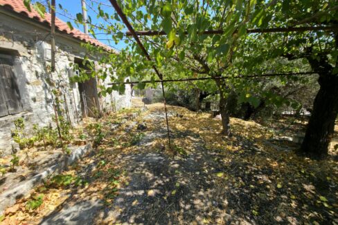εικόνα_Viber_2025-08-26_13-13-55-124