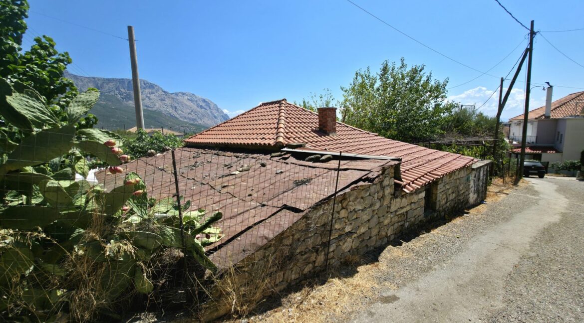 εικόνα_Viber_2025-08-26_13-13-55-155