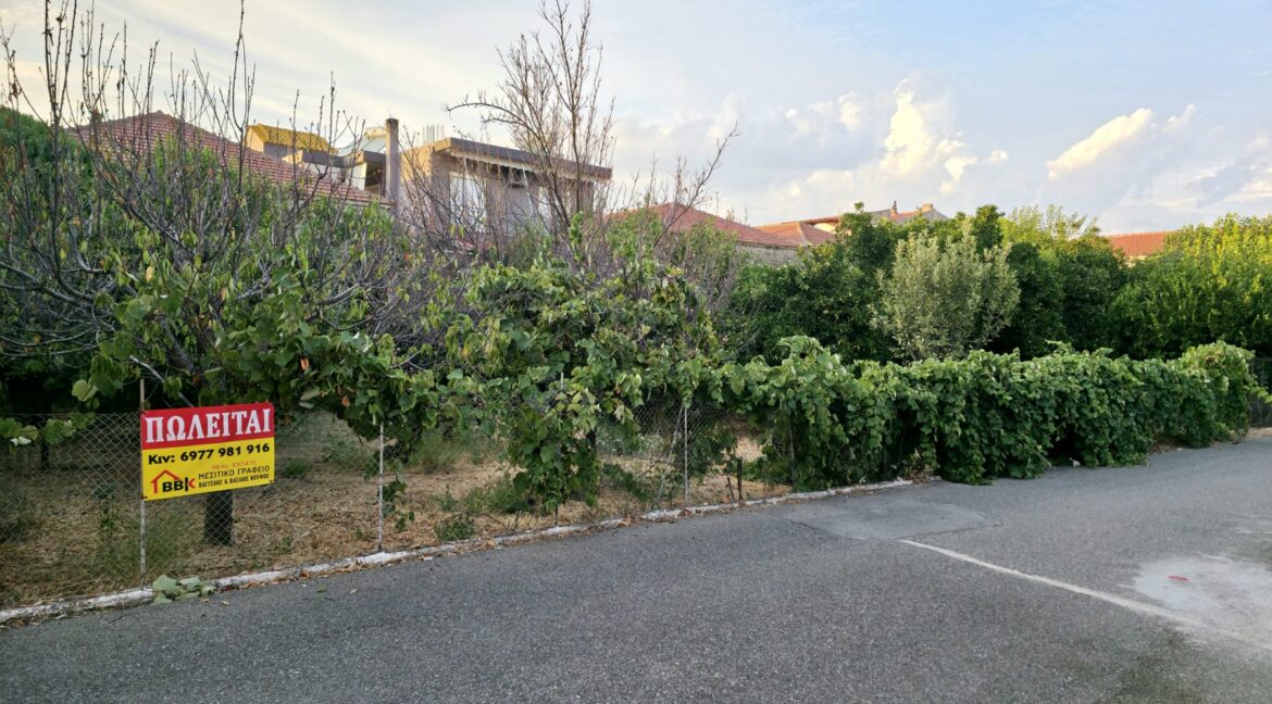εικόνα_Viber_2025-08-27_11-23-53-157