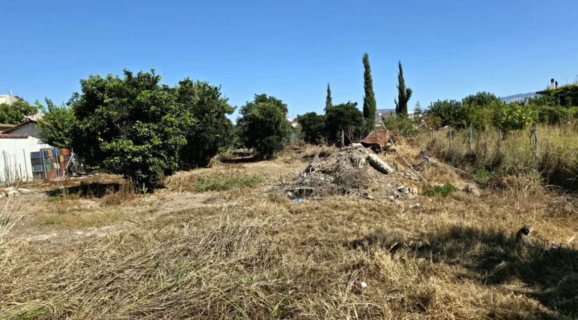 εικόνα_Viber_2025-09-22_11-29-14-268