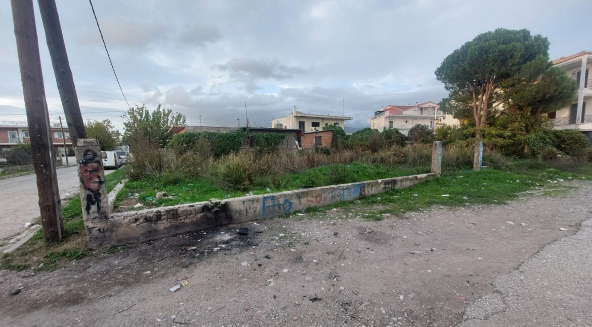 εικόνα_Viber_2025-11-19_17-00-33-360