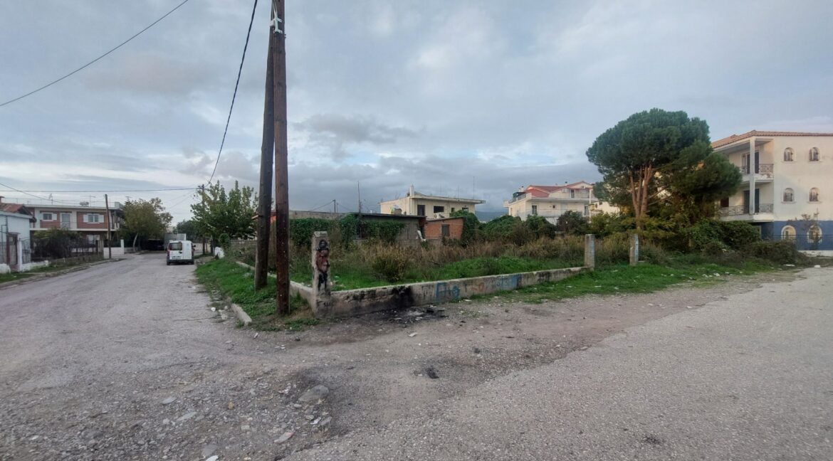 εικόνα_Viber_2025-11-19_17-00-36-545