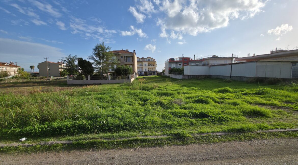 εικόνα_Viber_2025-11-21_16-08-47-226