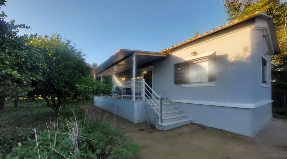 εικόνα_Viber_2025-11-26_13-27-21-506