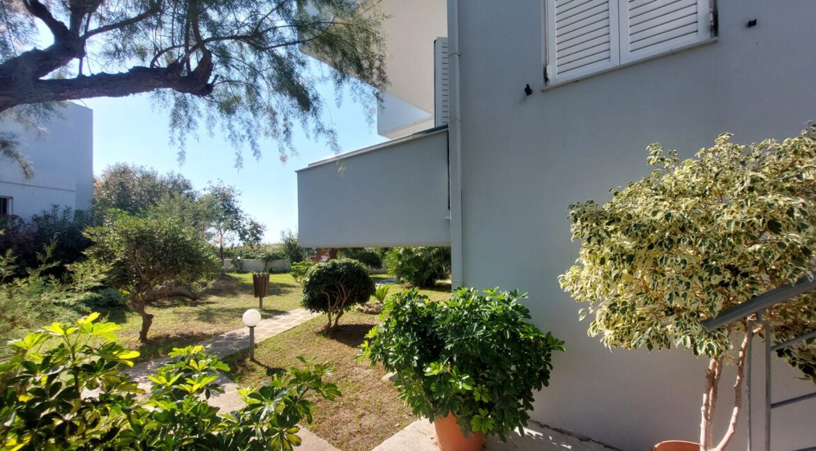 εικόνα_Viber_2025-11-27_13-52-14-466