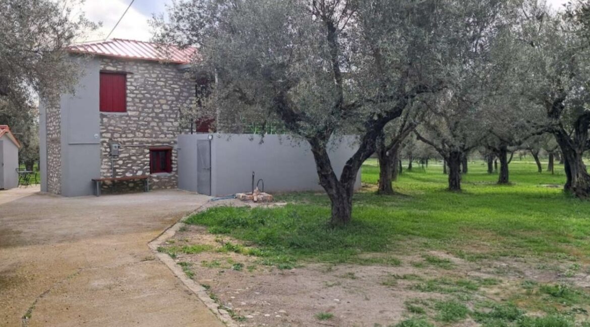 viber_image_2025-05-06_13-44-47-387