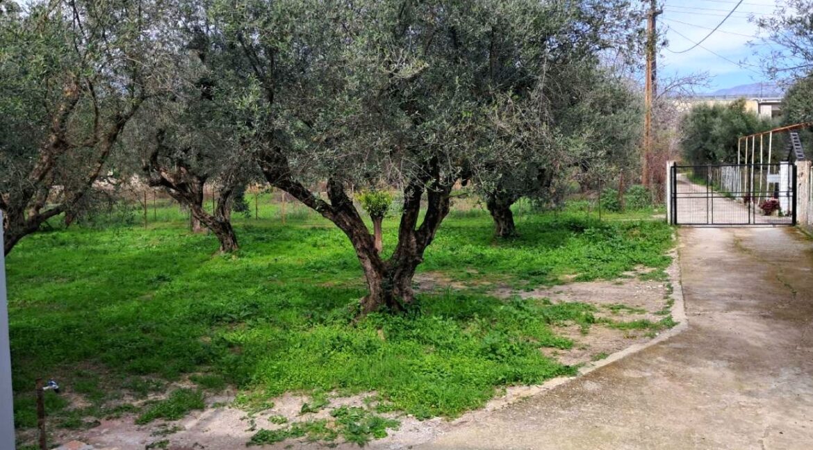 viber_image_2025-05-06_13-44-47-407