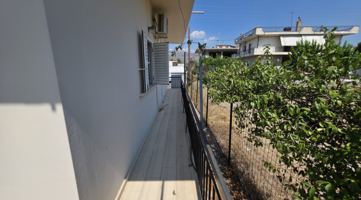 εικόνα_Viber_2026-01-31_14-28-02-289