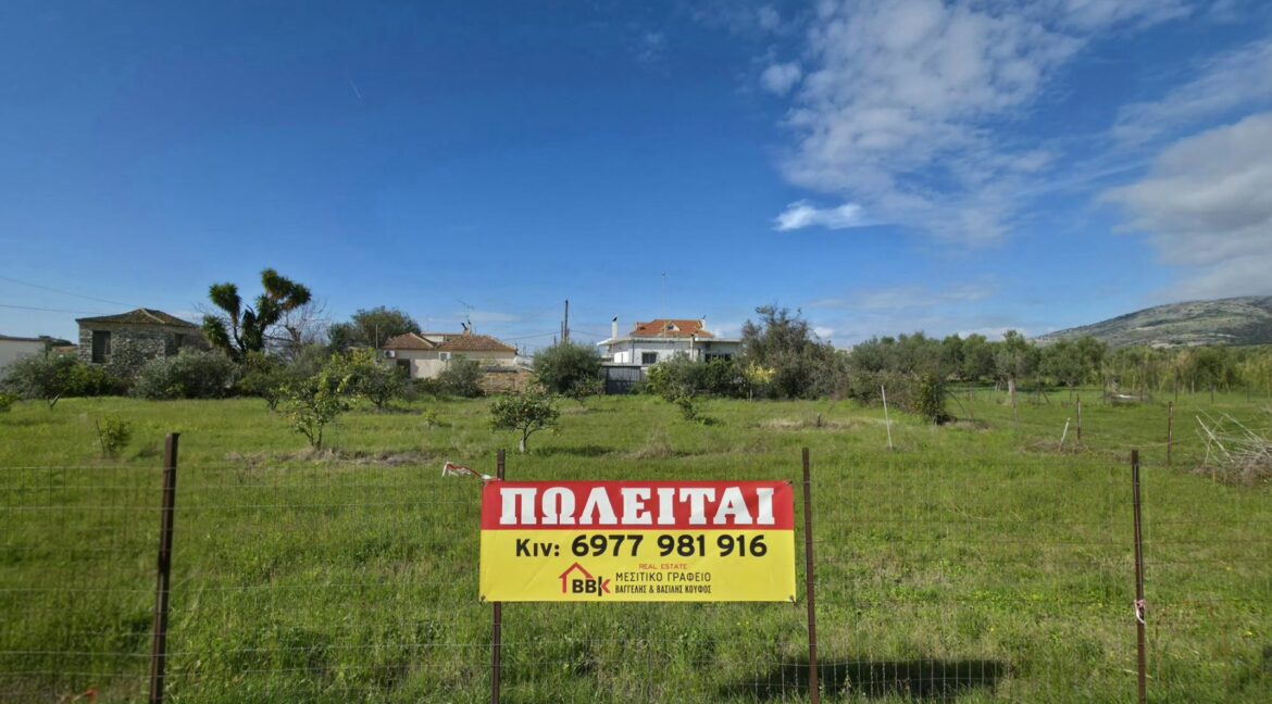 εικόνα_Viber_2026-02-04_19-43-23-343