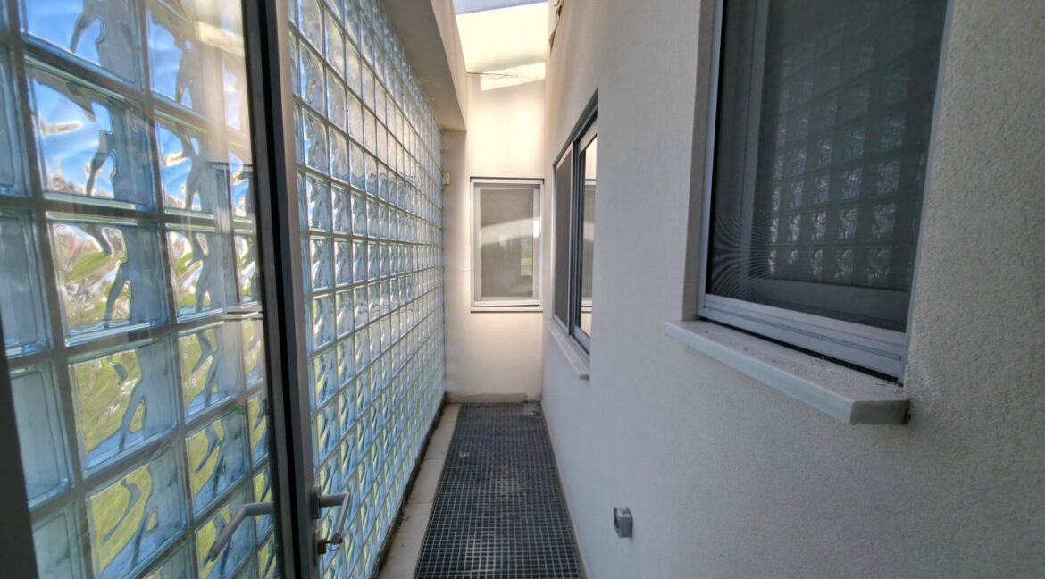 εικόνα_Viber_2026-02-12_11-56-39-156