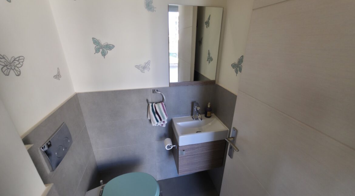 εικόνα_Viber_2026-02-12_12-02-54-800