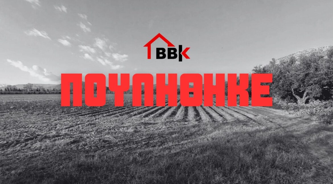 ΠΟΥΛΗΘΗΚΕ - 1