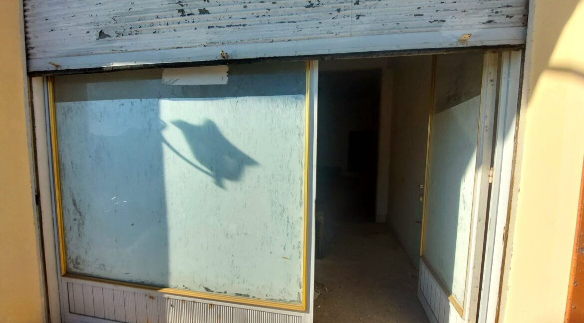 εικόνα_Viber_2026-03-01_11-38-46-520