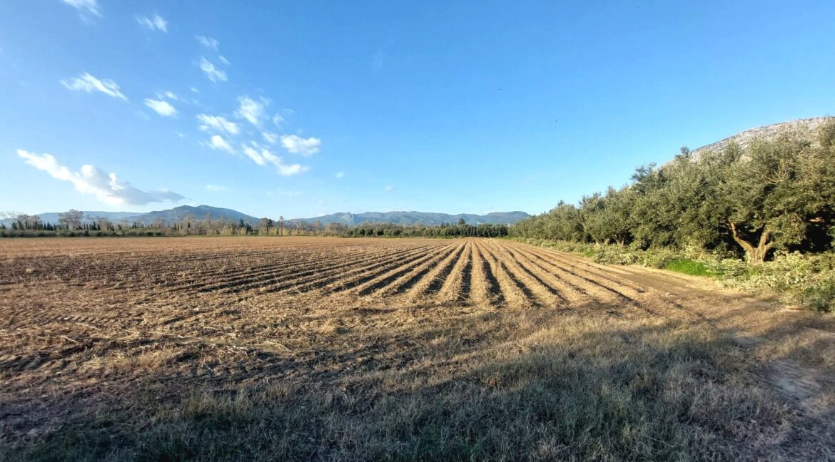 εικόνα_Viber_2026-03-01_11-39-18-166