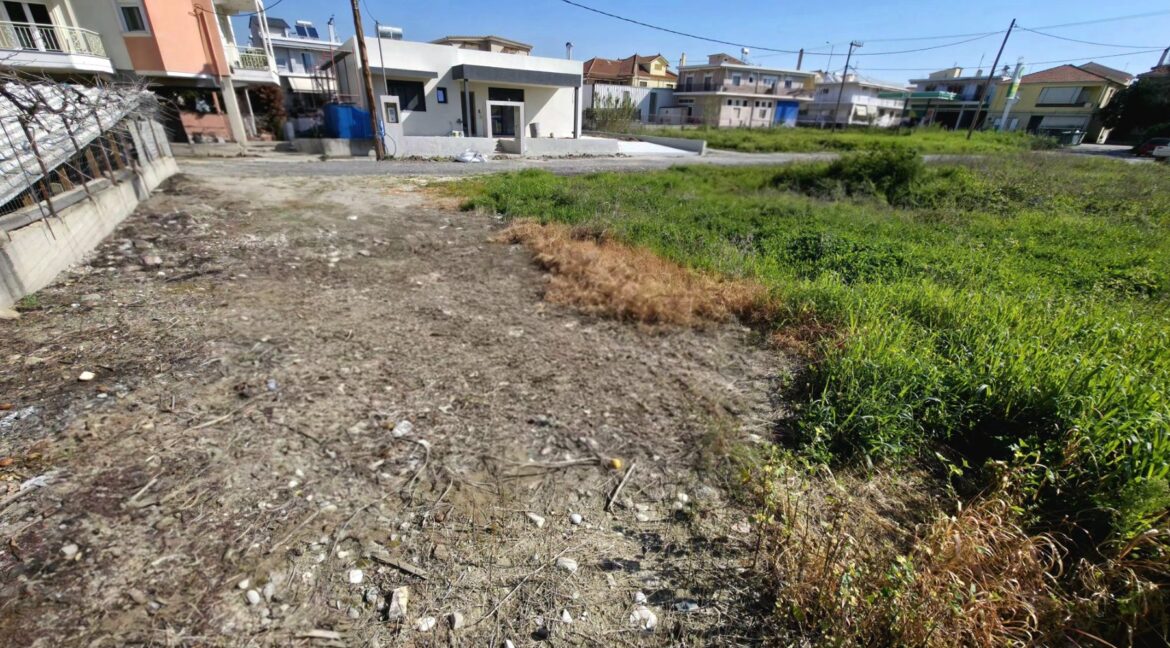 εικόνα_Viber_2026-03-12_10-57-03-353