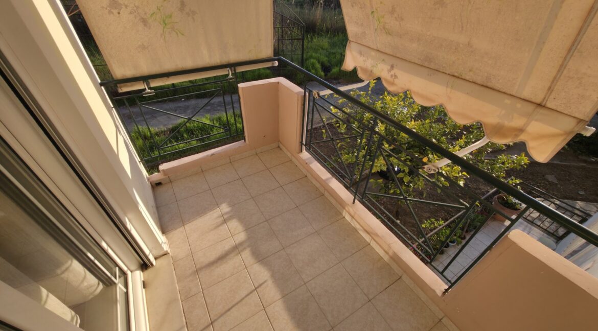 εικόνα_Viber_2026-03-12_19-54-04-937