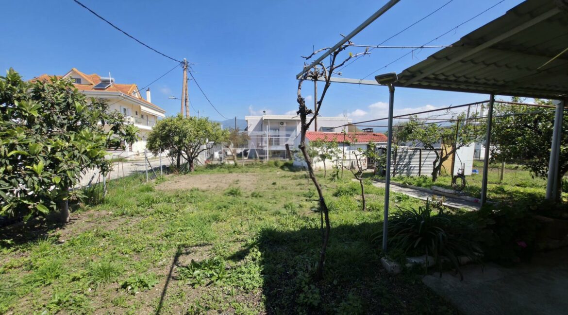 εικόνα_Viber_2026-04-07_20-26-14-563