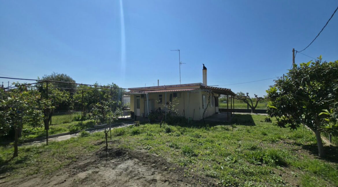 εικόνα_Viber_2026-04-07_20-26-14-612