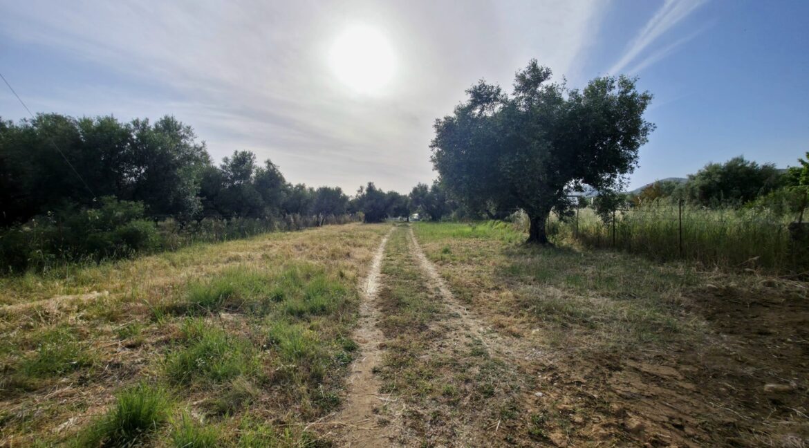 εικόνα_Viber_2026-05-13_11-29-51-145