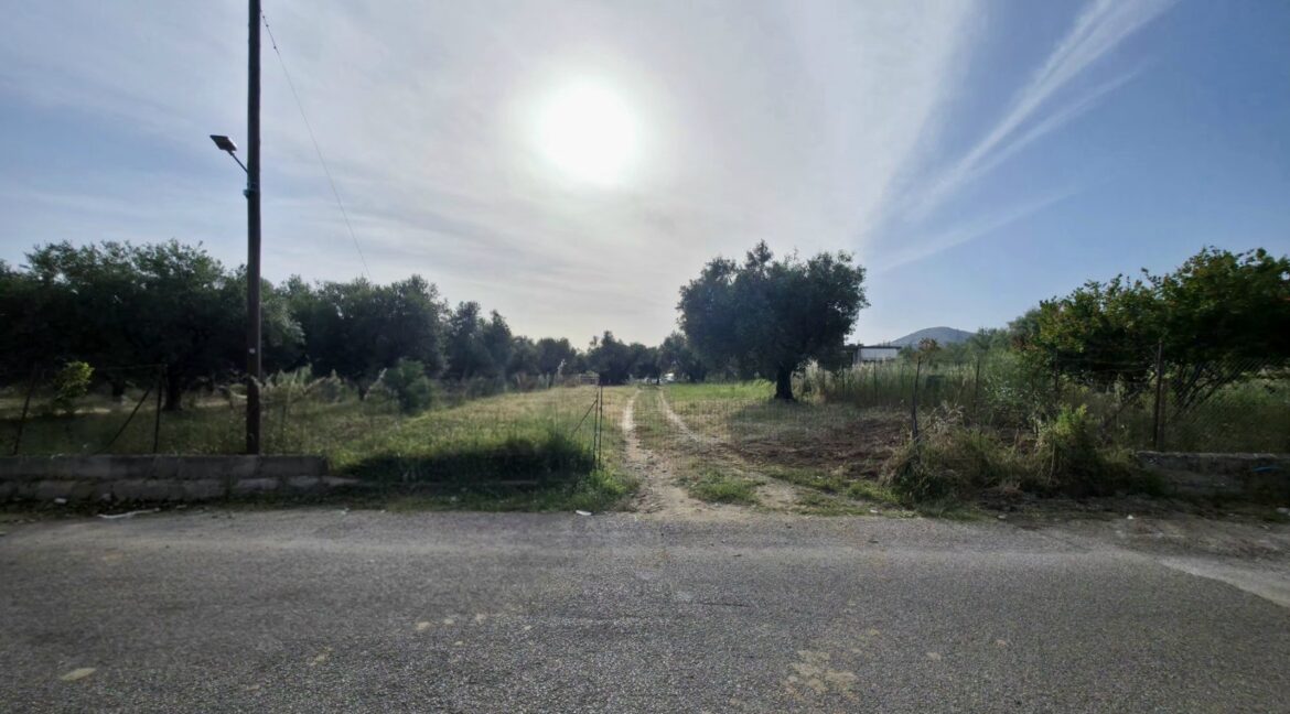 εικόνα_Viber_2026-05-13_11-29-51-158